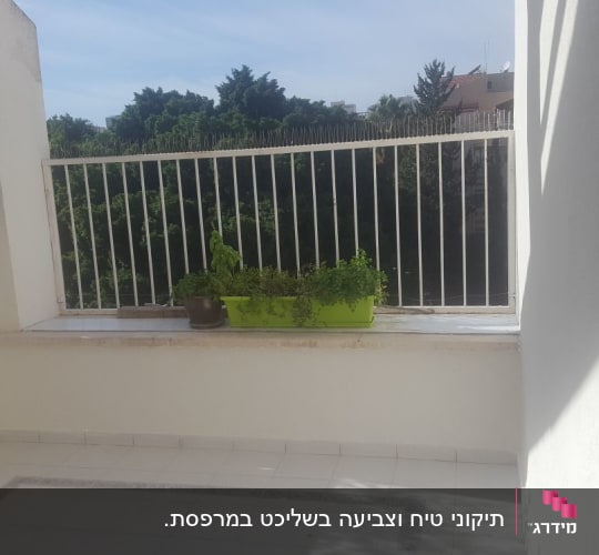עציצים ירוקים על אדן חלון במרפסת